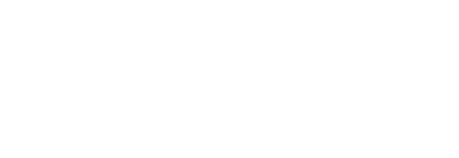 Levoex Transportes